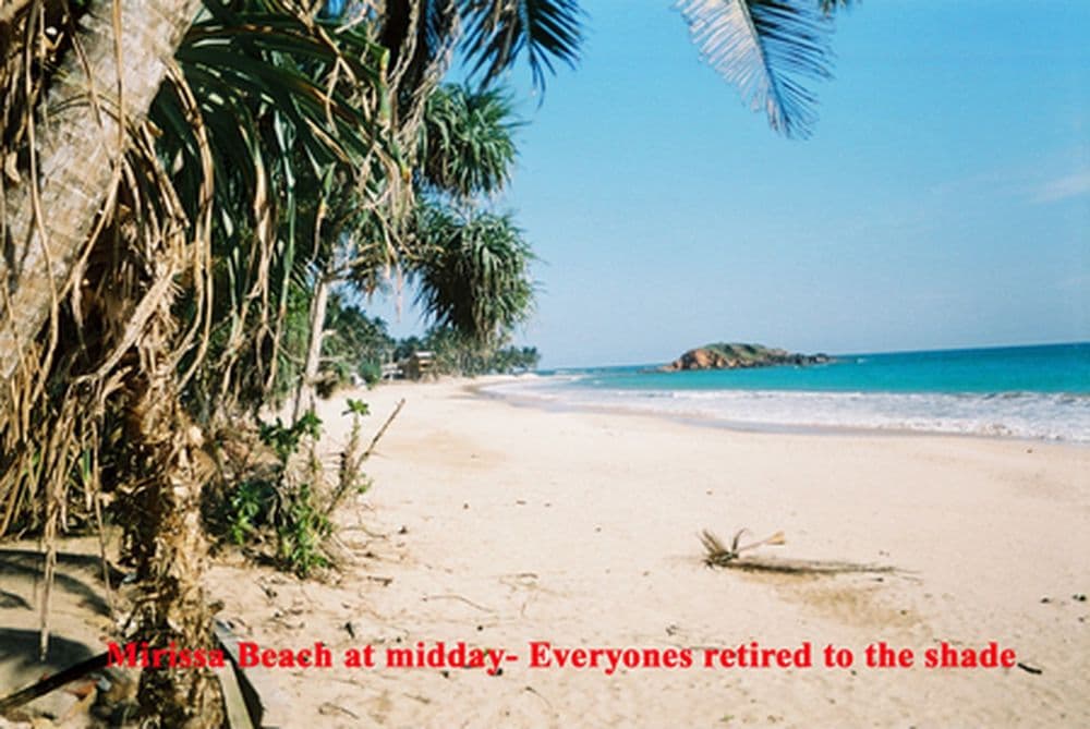 Mirissa Beach, Sri Lanka