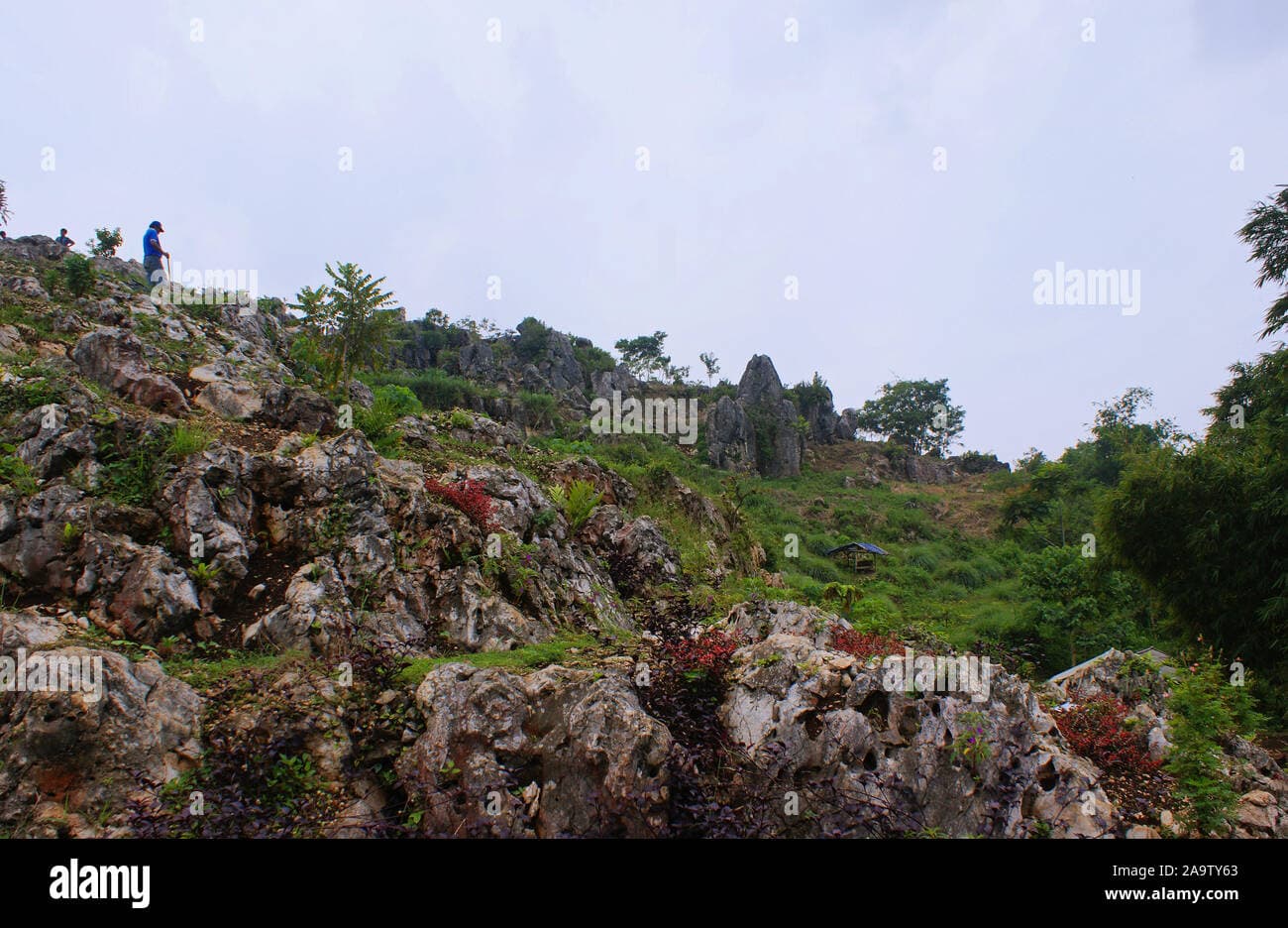 Stone Garden Citatah